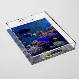  sea creatures Acrylic Tray