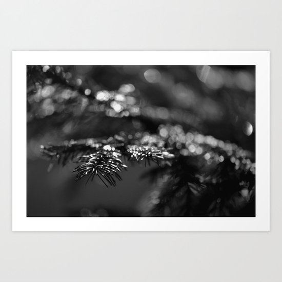 In the woods II Art Print