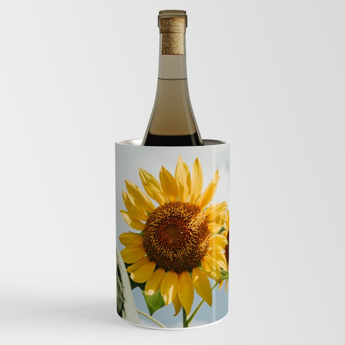 564 Sunflower Wine Chiller