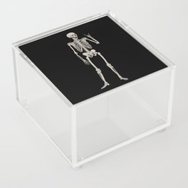 Skeleton Rock and Roll Poses Acrylic Box