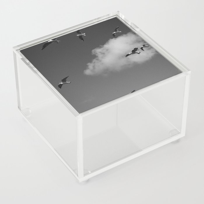 Seagulls Acrylic Box