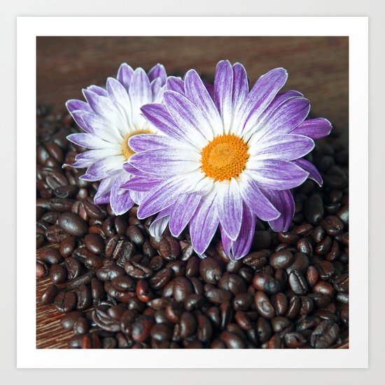 COFFEE & VIOLET DAISY Art Print