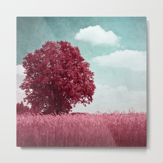 ROUGE II Metal Print