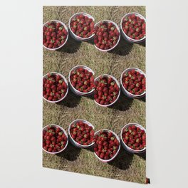 Freshly Picked Strawberries Wallpaper