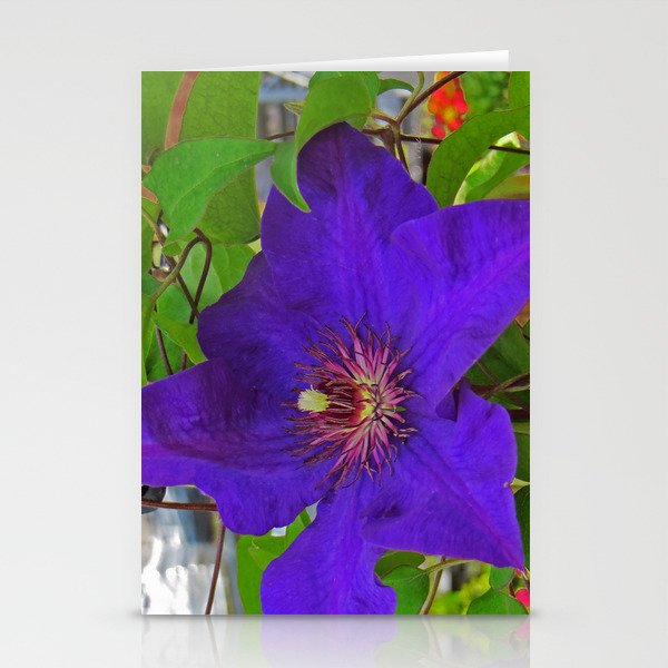Passion Flower Stationery Cards