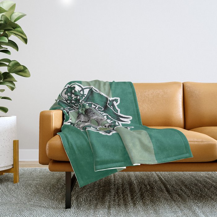 Slytherin throw sales