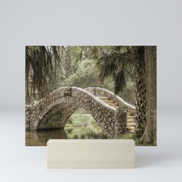 New Orleans City Park Bridge (02) Mini Art Print