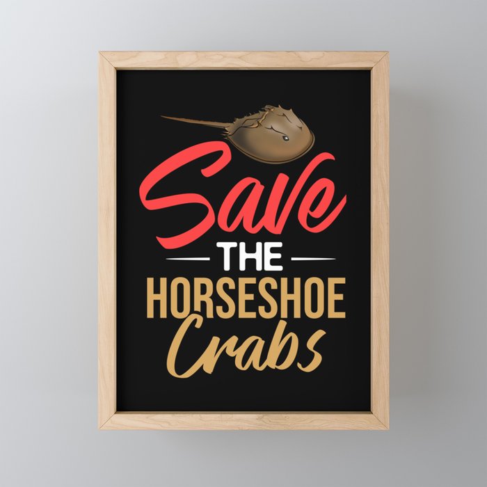 Horseshoe Crab Xiphosura Blood Eggs Fossil Framed Mini Art Print