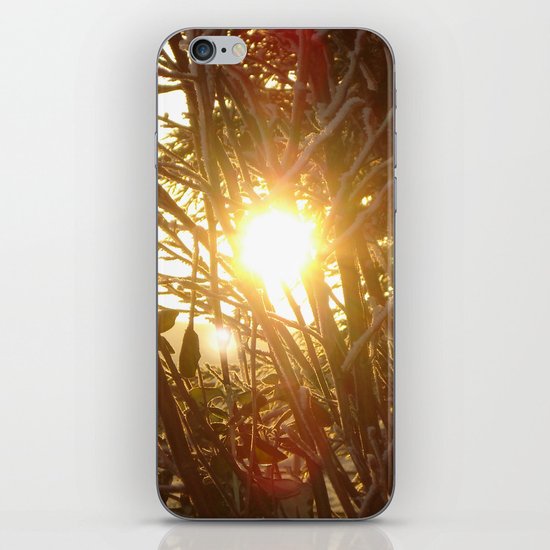 Sunset iPhone & iPod Skin