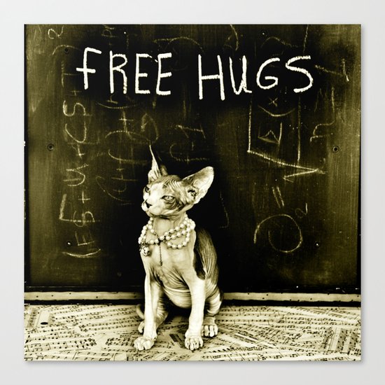 Free hugs Canvas Print