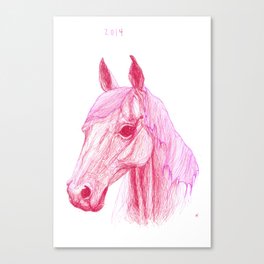 Year Of The Horse Canvas Print