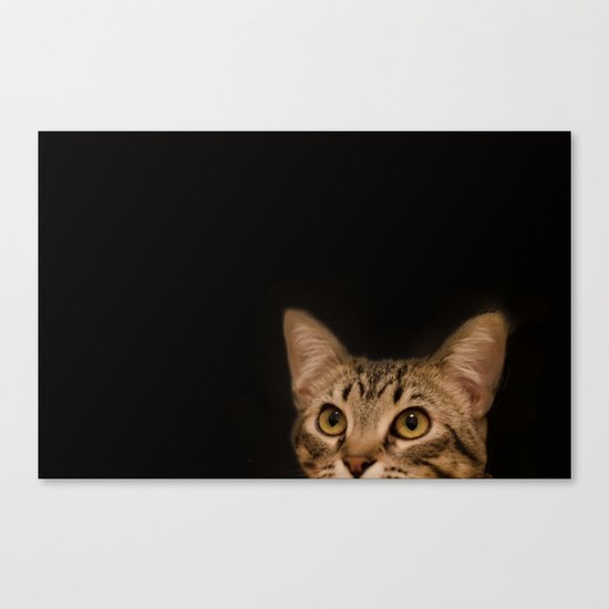 cat Ichat Canvas Print