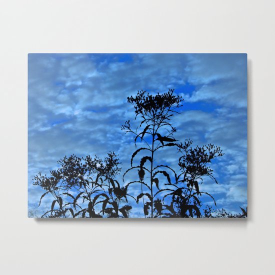 Blue Sky Silhouette Metal Print