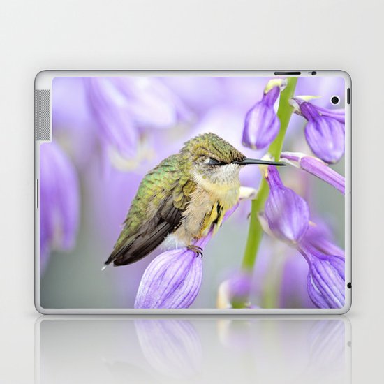 Sweet Dreams Little One-Hummingbird Laptop & iPad Skin