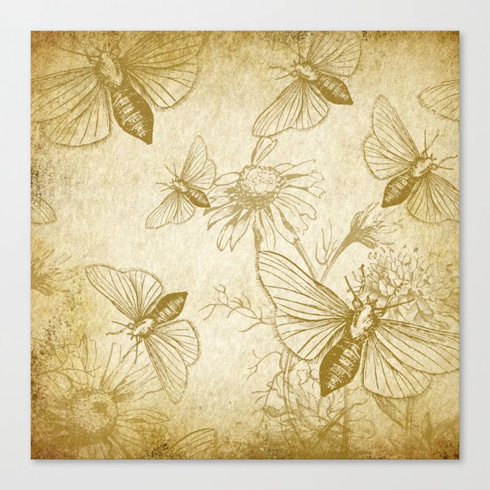 insect pattern / full patterns / butterfly Canvas Print