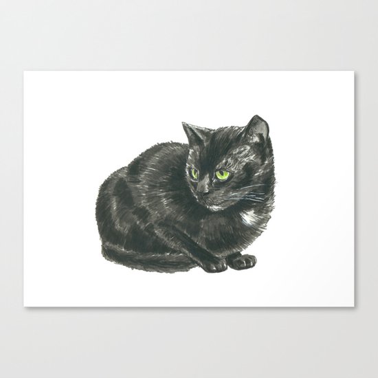 Black cat Canvas Print