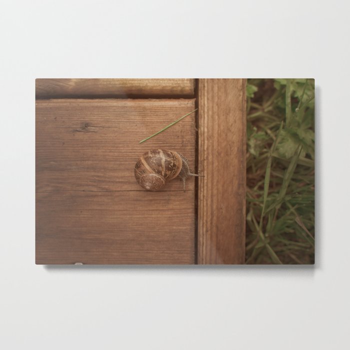 Snail Garden Metal Print
