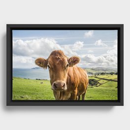 Love at first sight Framed Canvas