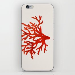 Coral  iPhone Skin