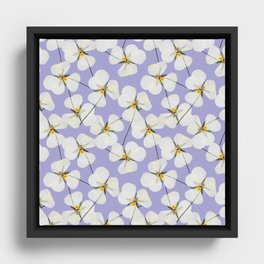 Pansy white  Framed Canvas