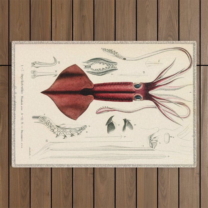 Christophe Annedouche - Clubhook Squid Outdoor Rug