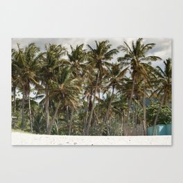 Palmeras tropicalientes Canvas Print