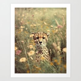 Cheetah in the Wildflowers Art Print