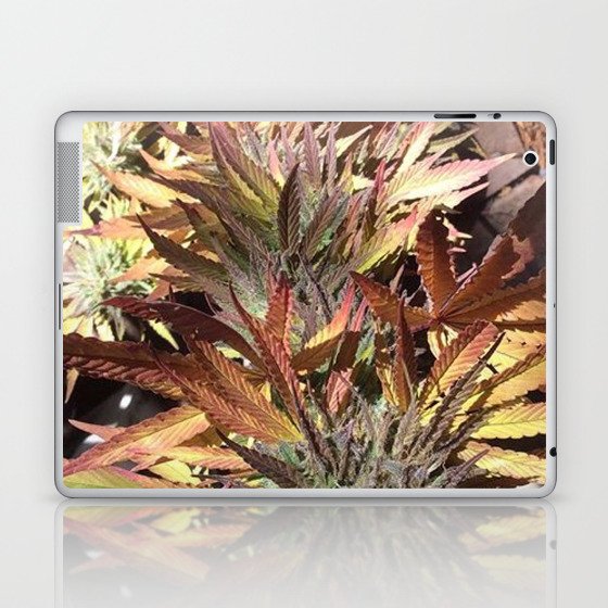 Marijuana Laptop & iPad Skin