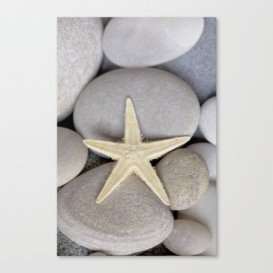 Starfish on pebble Canvas Print