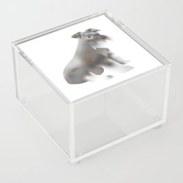  schnauzer breed dog isolated in digital drawing Acrylic Box