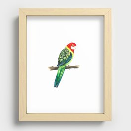 Bird Painting, Bird Art, Bird Print, Bird Watercolor, Art, Australian Bird, Australian Art, Native A Recessed Framed Print