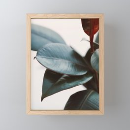 Night Ficus #3 Framed Mini Art Print