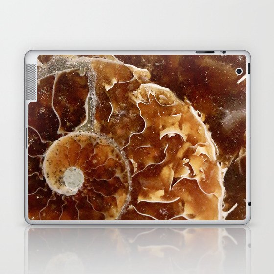Ammonite Laptop & iPad Skin