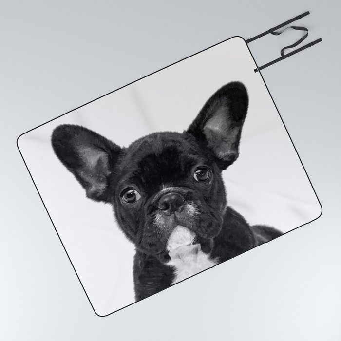 French best sale bulldog blankets