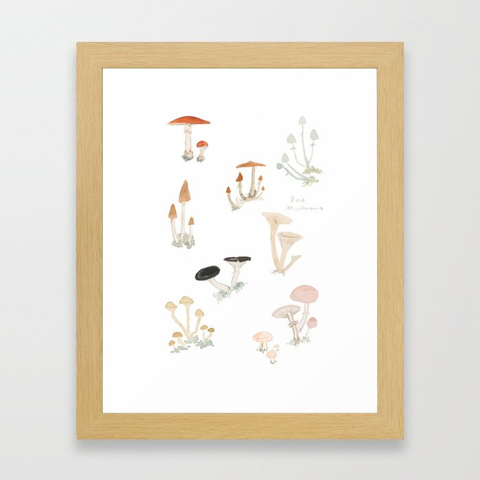 Sketchbook Mushrooms Framed Art Print