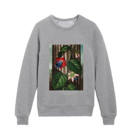Tropical Winged Passion Flower Blossoms from The Temple of Flora still life painting by Robert John Thornton Kids Crewneck