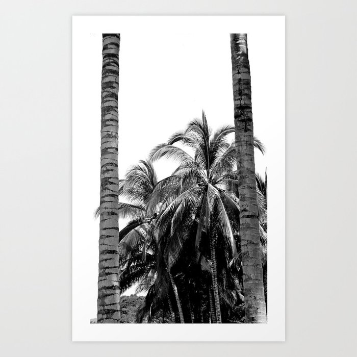 Sayulita Palm Trees Art Print