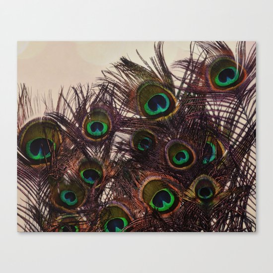 Peacock Feathers Canvas Print