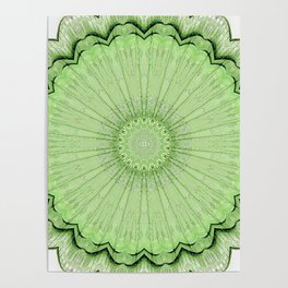 Transparent lacy glass kaleidoscope Poster