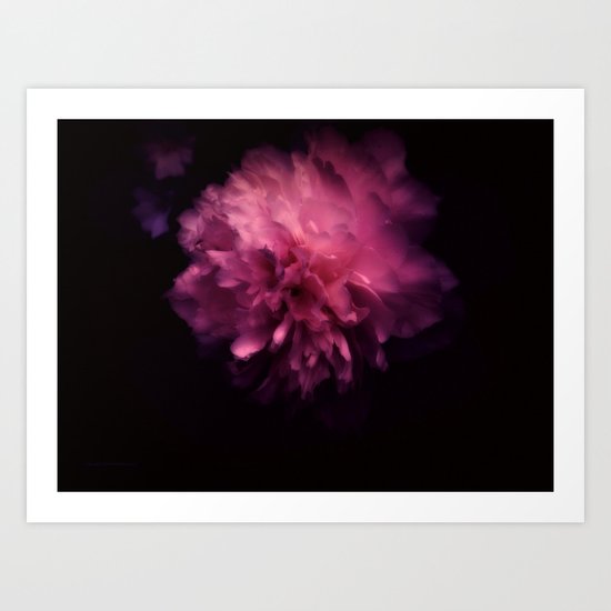 Peony Art Print