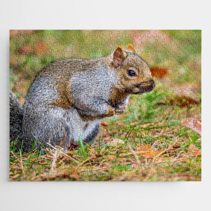 Cute Autumn Squirrel, Prepares for Winter Photograph Jigsaw Puzzle