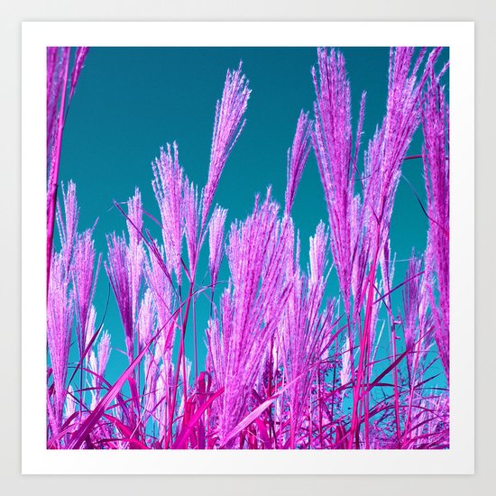 purple grasses I Art Print