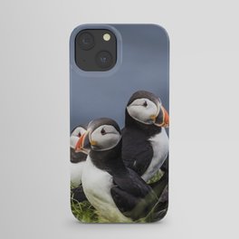 puffin iPhone Case