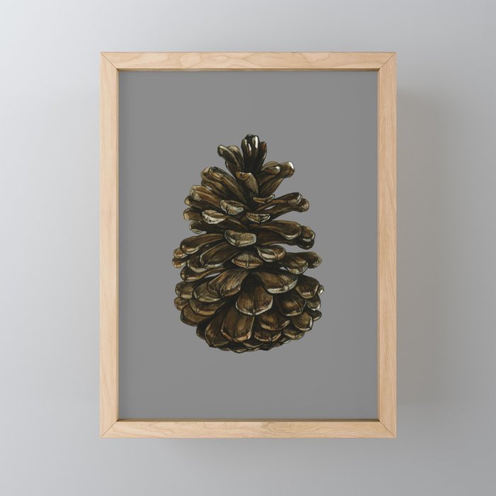 The pine cone on the gray Framed Mini Art Print