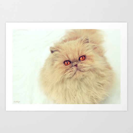 Who are you calling a big ball of fur? Art Print