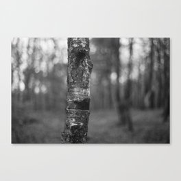 Tree Trunk Black and White Film Photograph Canvas Print