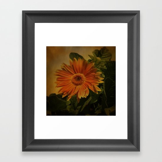 The Beauty Of Nature Framed Art Print