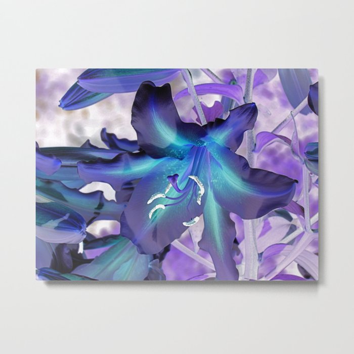 Contemporary Teal Aqua Lilac Lily Flower Art A120 Metal Print