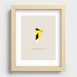 American Goldfinch Recessed Framed Print