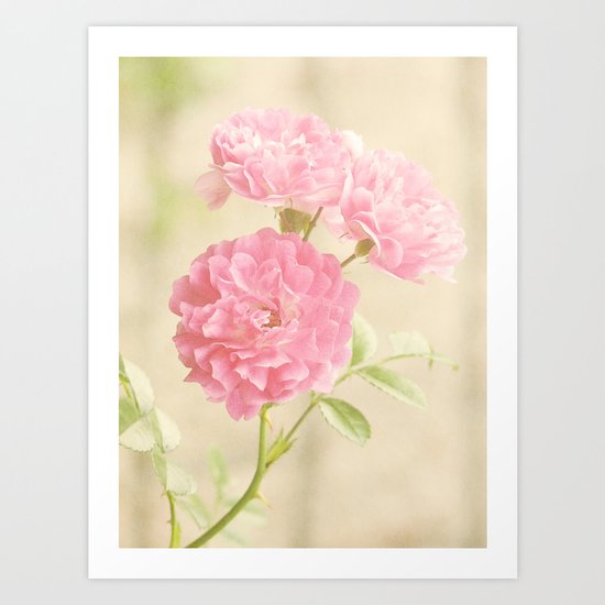 Vintage Pink Ruffled Roses II Art Print